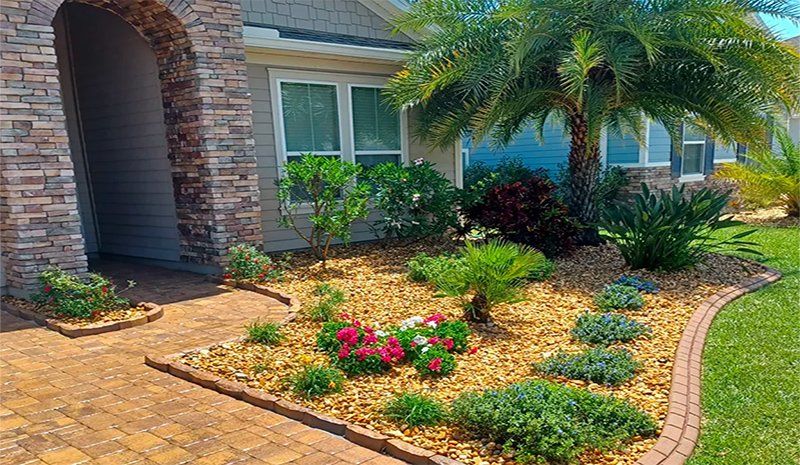 How Our Jacksonville Landscapers Can Transform Your Yard Into an Ecosystem