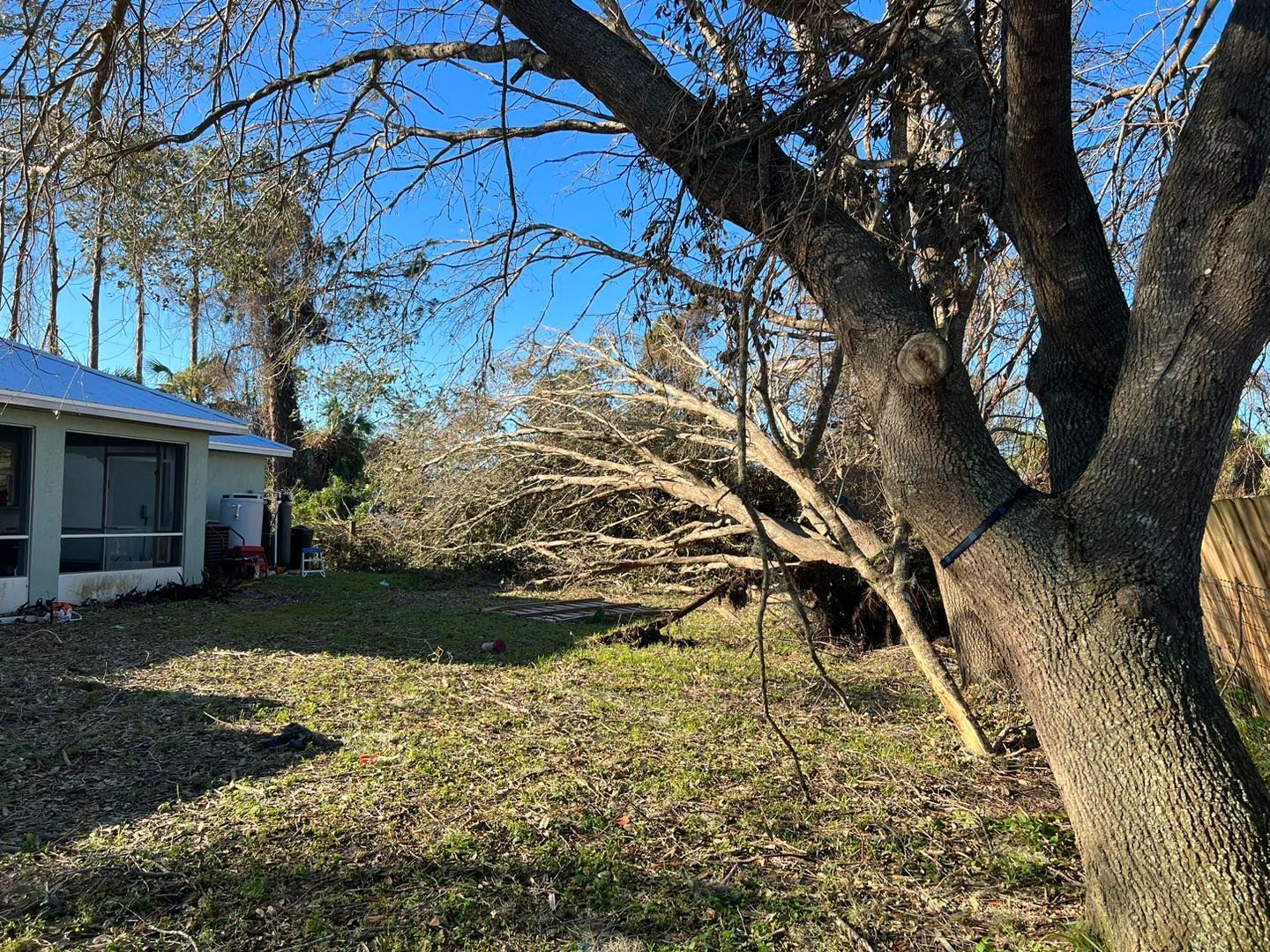 Stump removal service