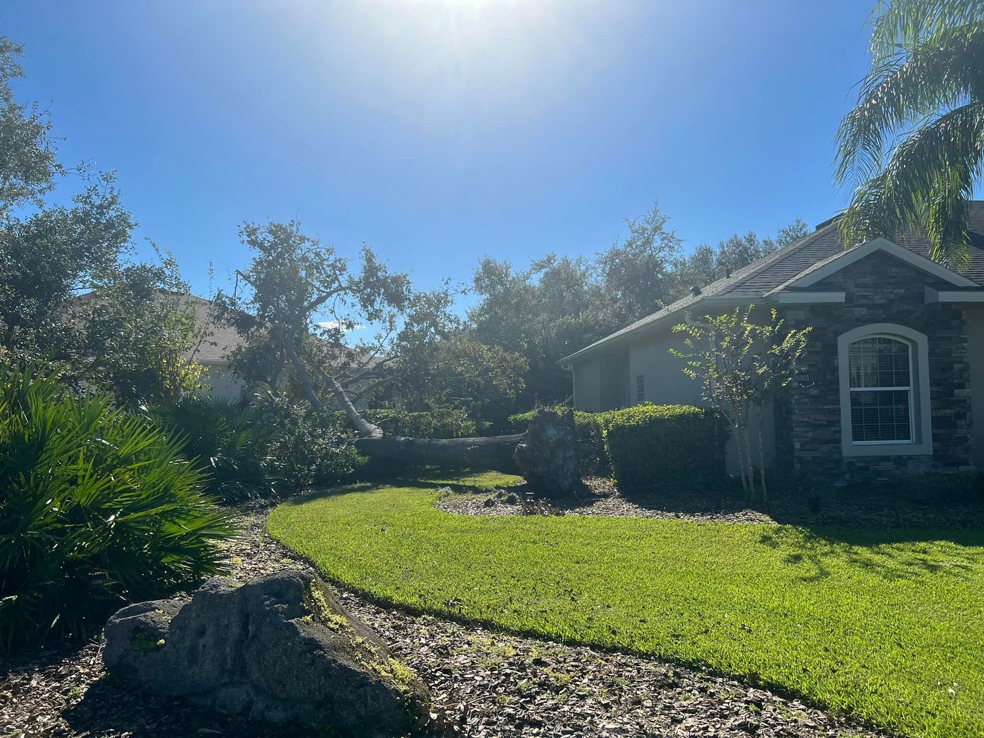 Commercial tree service