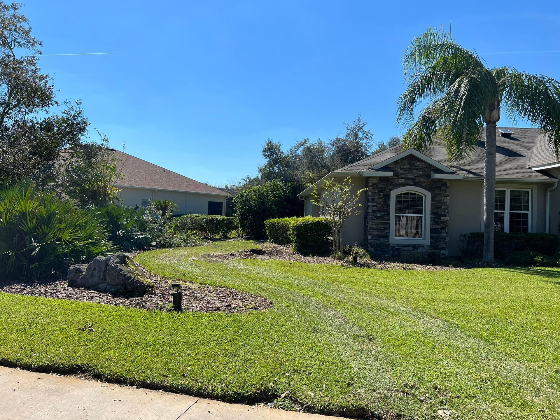 Green lawn with a path leading to a house with a stone facade, palm tree, and blue sky.