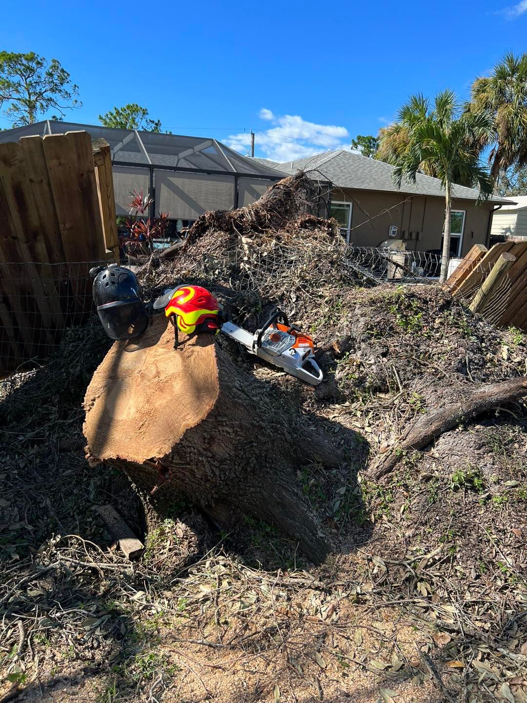 A chainsaw and helmets sit on a large tree stump; a pile of wood chips and a house in the background.