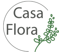 Logo: Sun, sailboat, water, text 