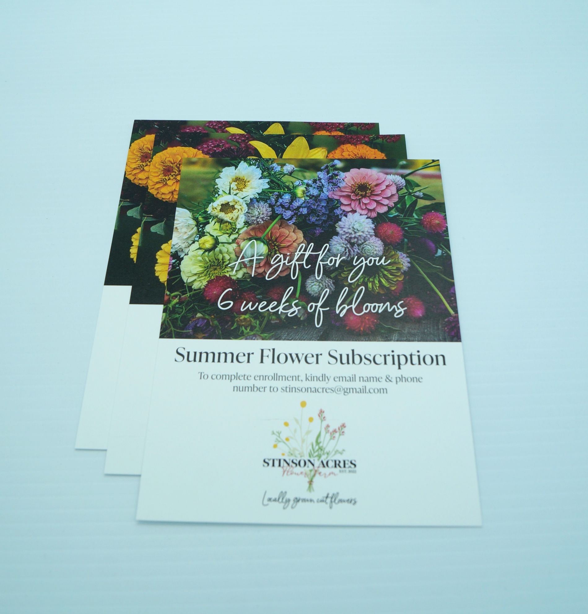 A gift for you 6 weeks of flowers summer flower subscription
