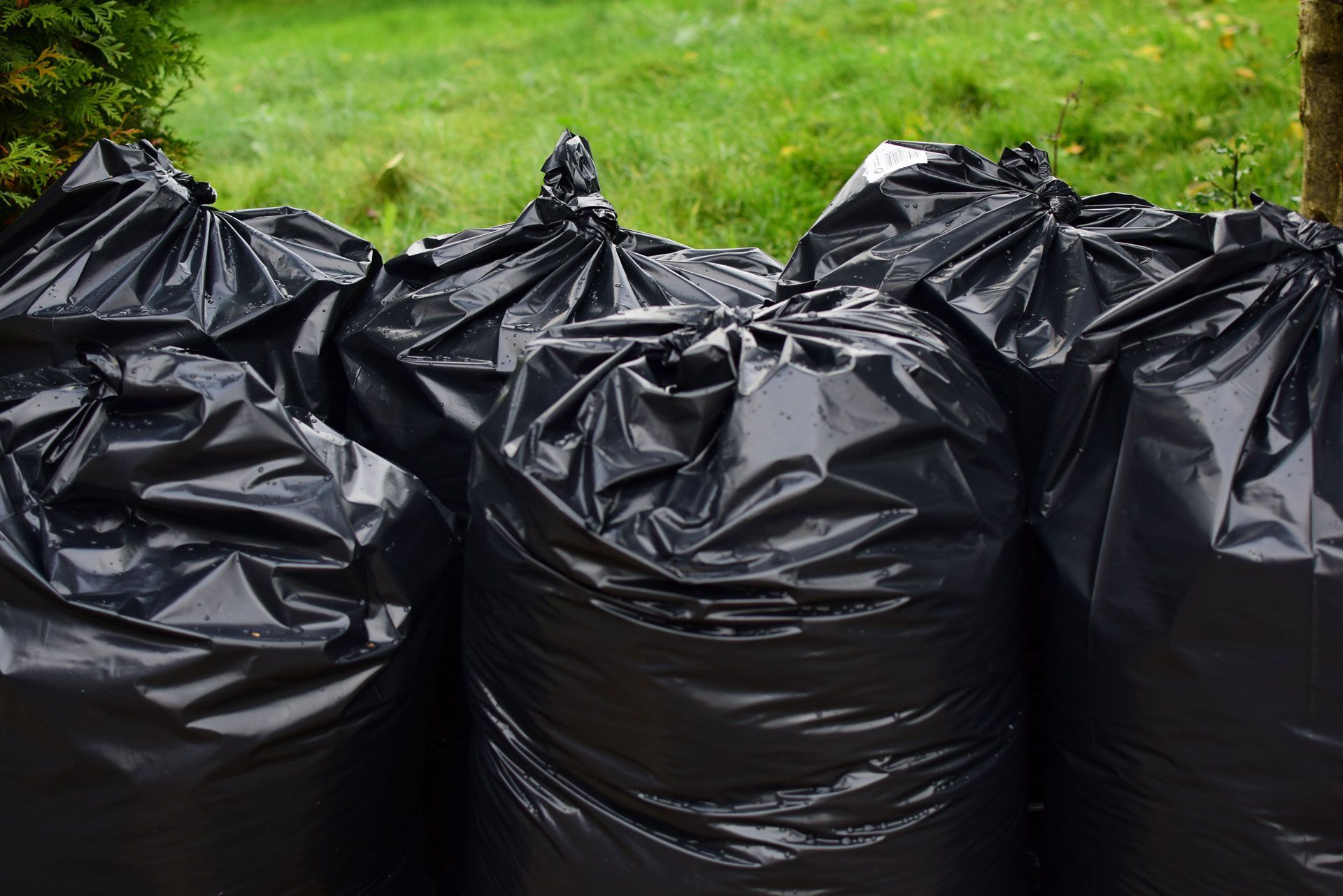 Black trash bags filled and tied, against a green grassy background.