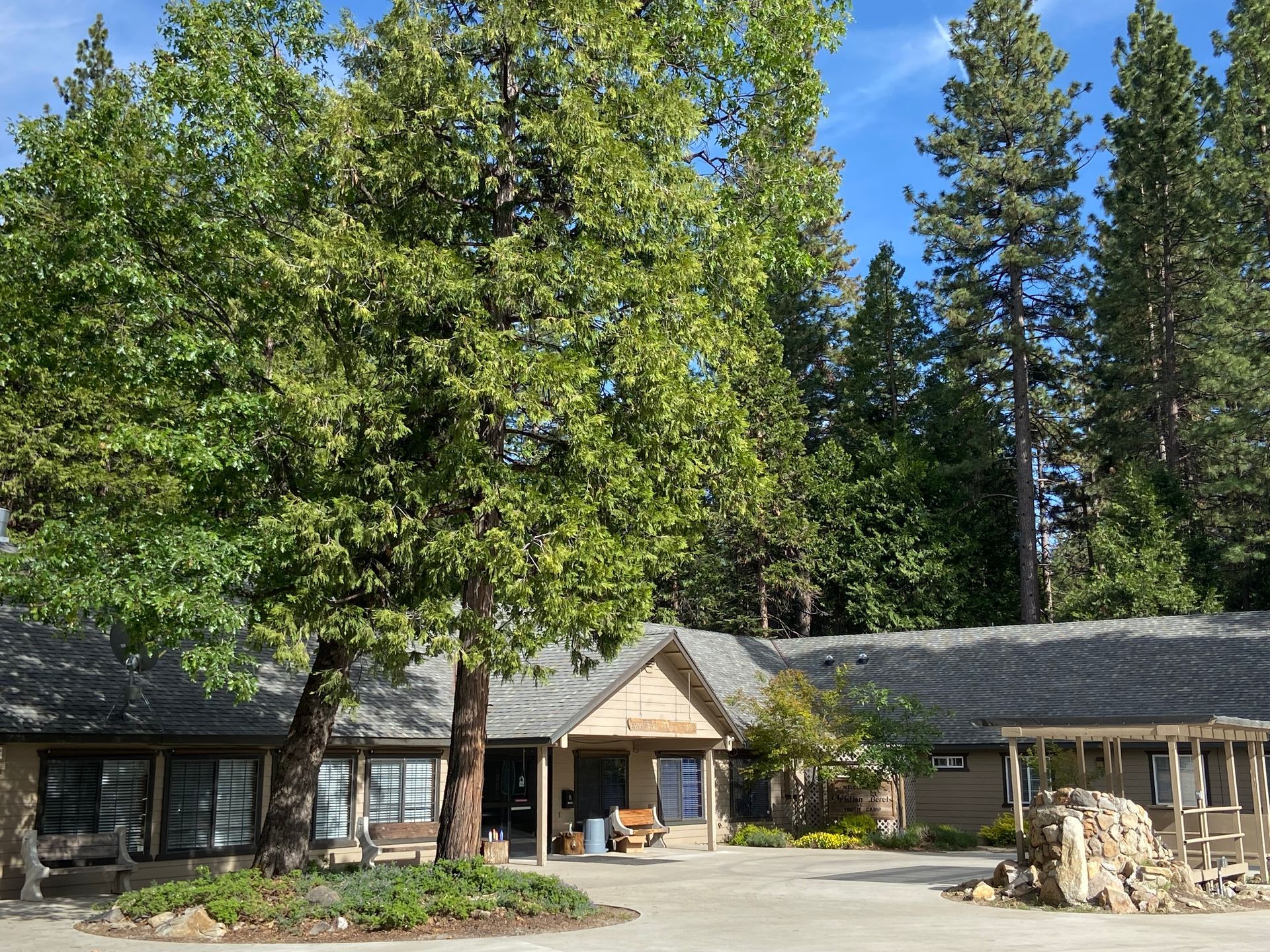 A house with a large tree in front of it