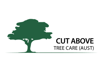 Cut Above Tree Care (QLD) Logo - Green