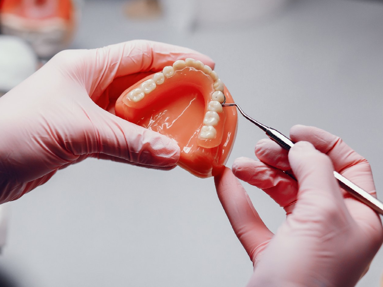 um dentista está trabalhando em um modelo dos dentes de uma pessoa.