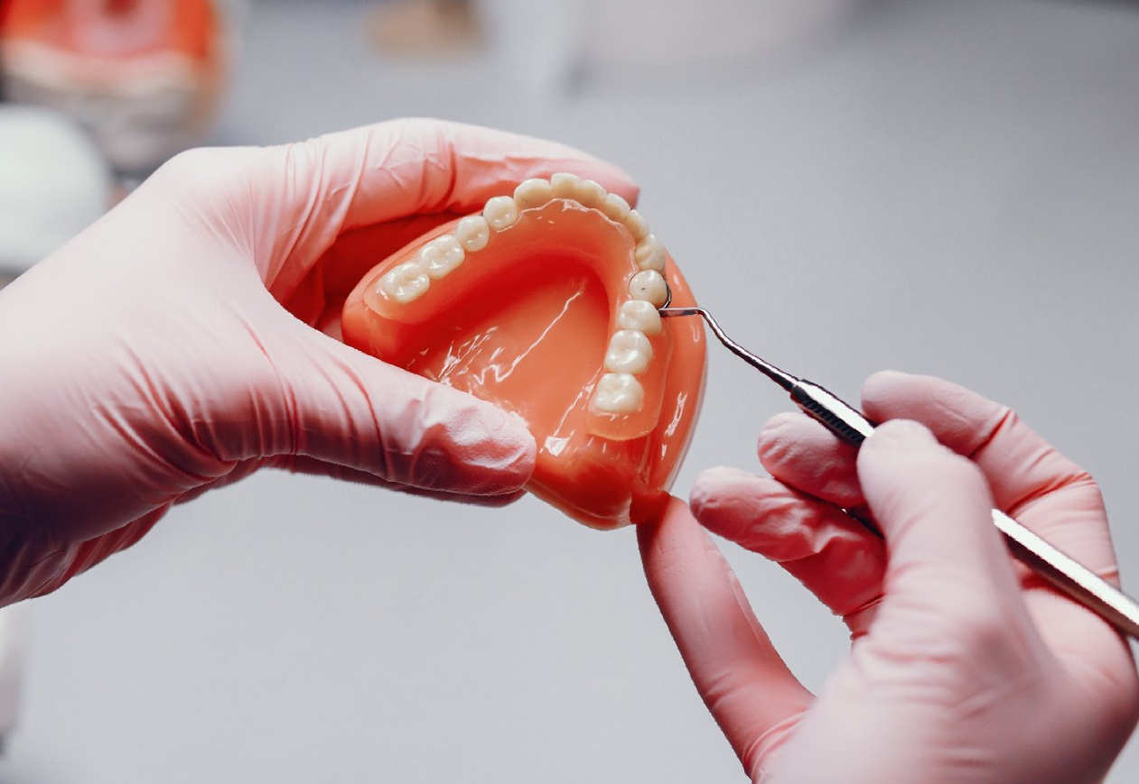 um dentista está trabalhando em um modelo dos dentes de uma pessoa.