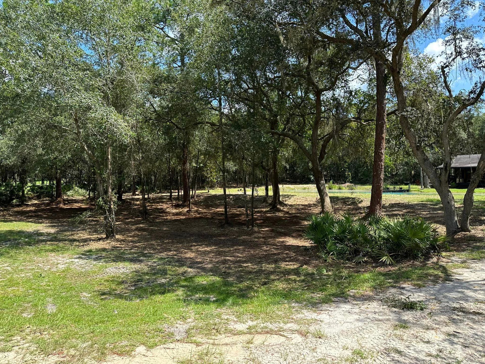 Okefenokee Land & Habitat Management, LLC Top Rated Land Clearing