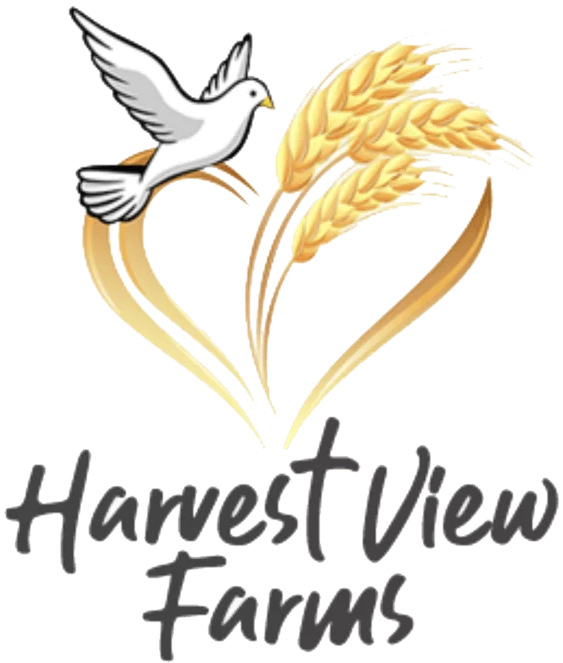 Harvest View Farms Weddings & Gatherings Harvest View Farms Weddings & Gatherings