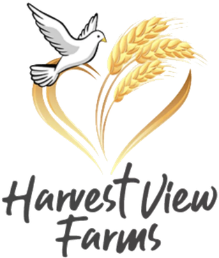 Harvest View Farms Weddings & Gatherings Harvest View Farms Weddings & Gatherings