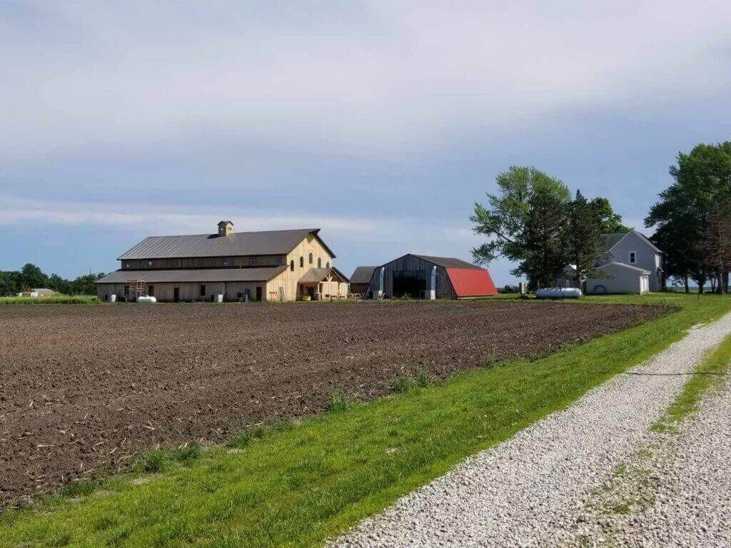 Farm scene