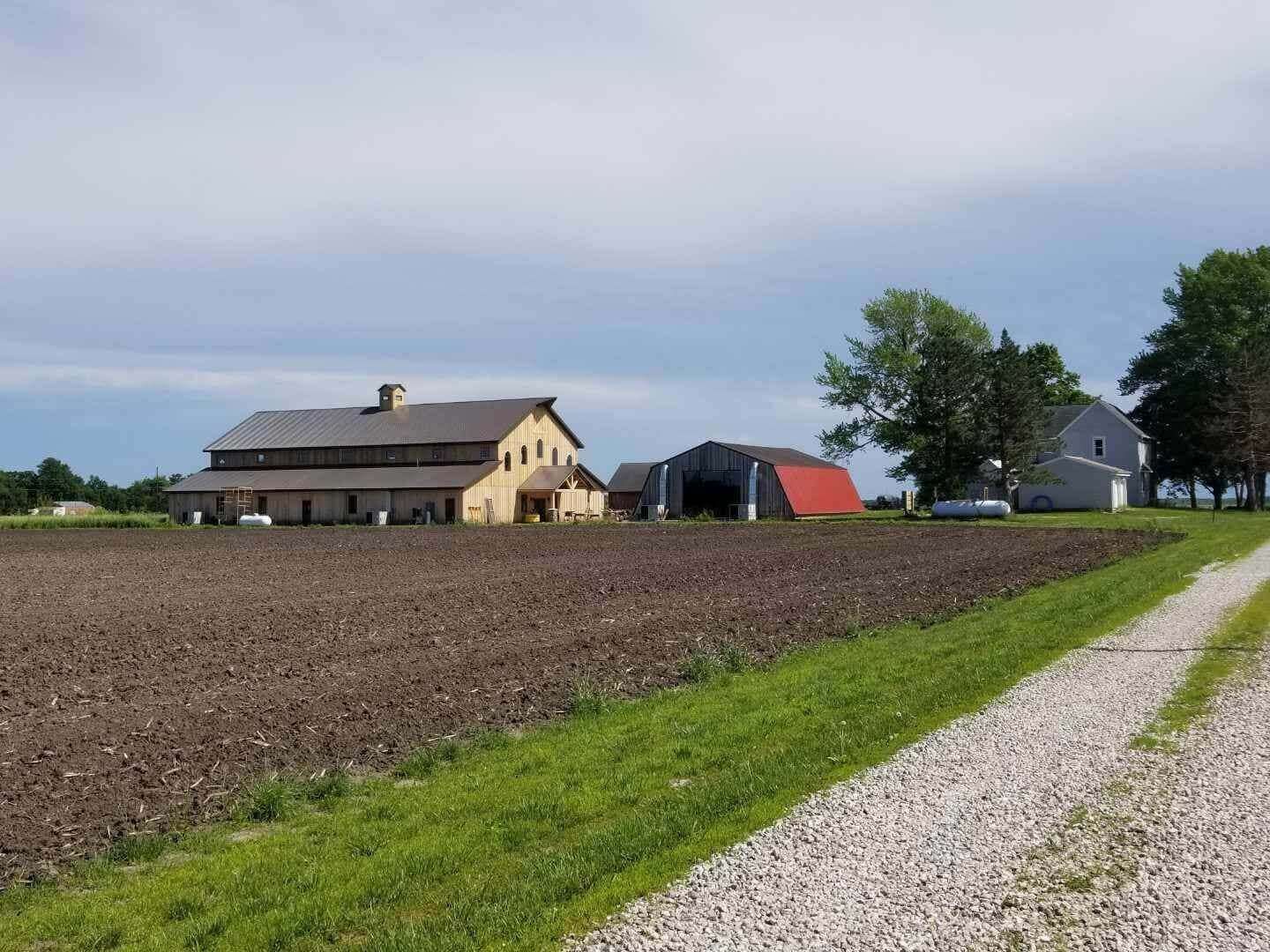 Farm buildings, a large barn, a shed with a red roof, and a house sit next to a plowed field with a gravel road.