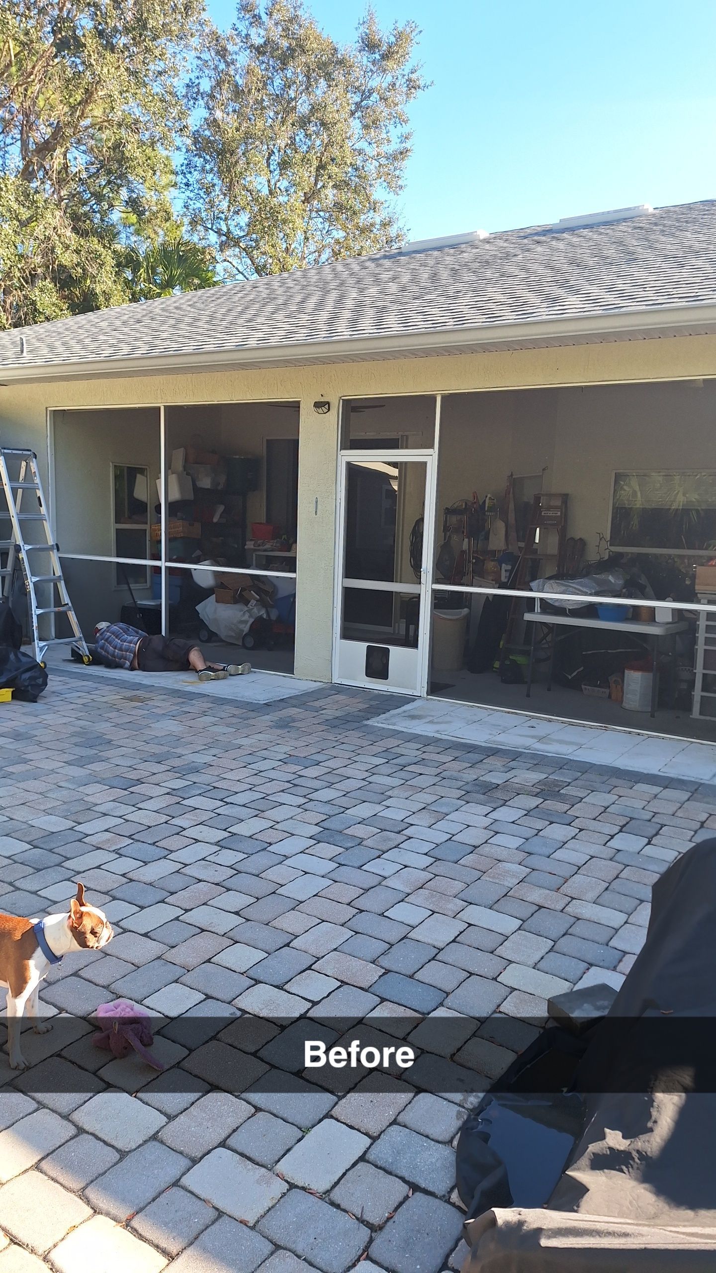 Patio before renovation with screened enclosure, brick pavers, and dog.