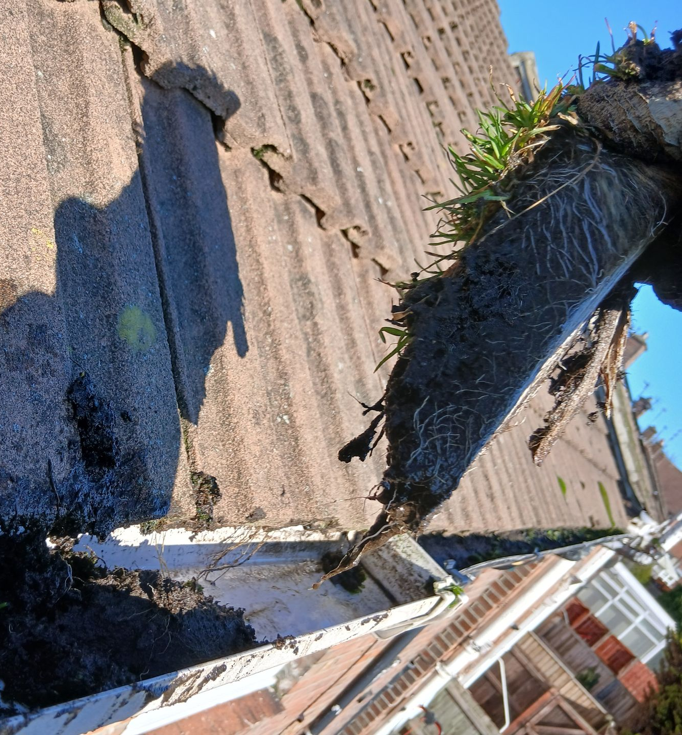 A piece of debris removed from a gutter.