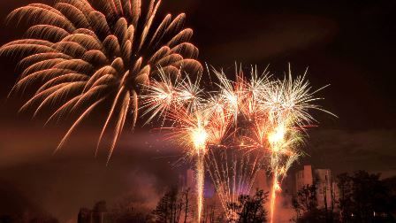 Book your transport to the Firework Championships with Brookline