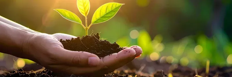 Meio Ambiente: guia do curso técnico