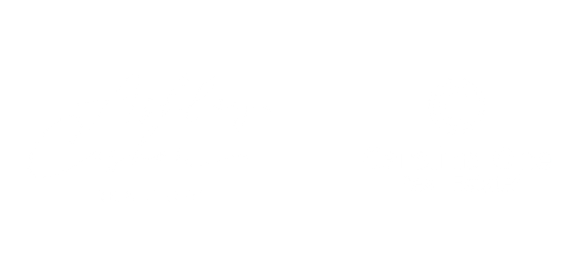 A white background with a few lines on it