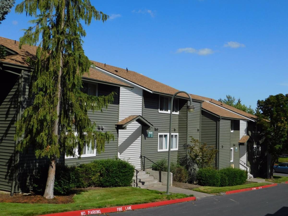 Two-story apartment building with green siding, brown roof, and a tree in front on a sunny day.