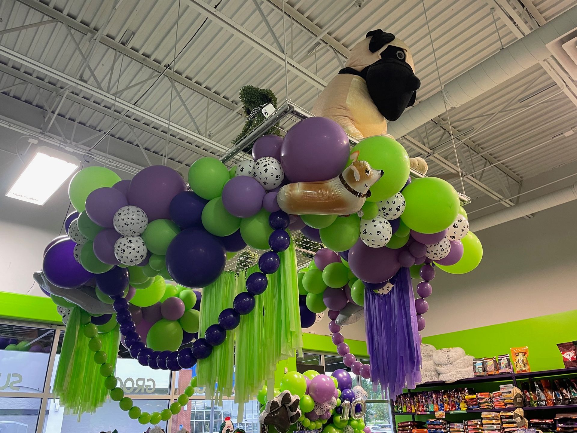 A bunch of balloons are hanging from the ceiling of a store.