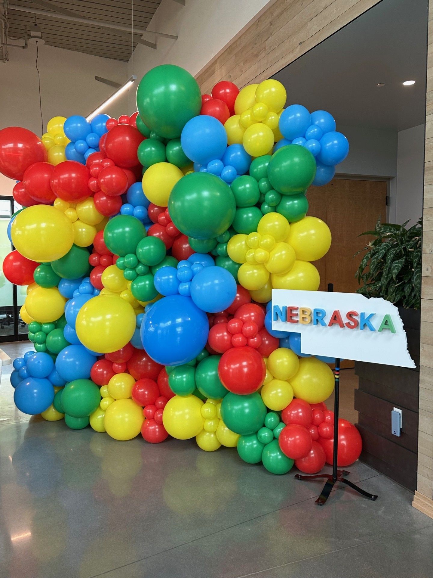 Balloon Wall for  Corporate Picnic