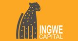 Ingwe Capital - Real Estate Investors