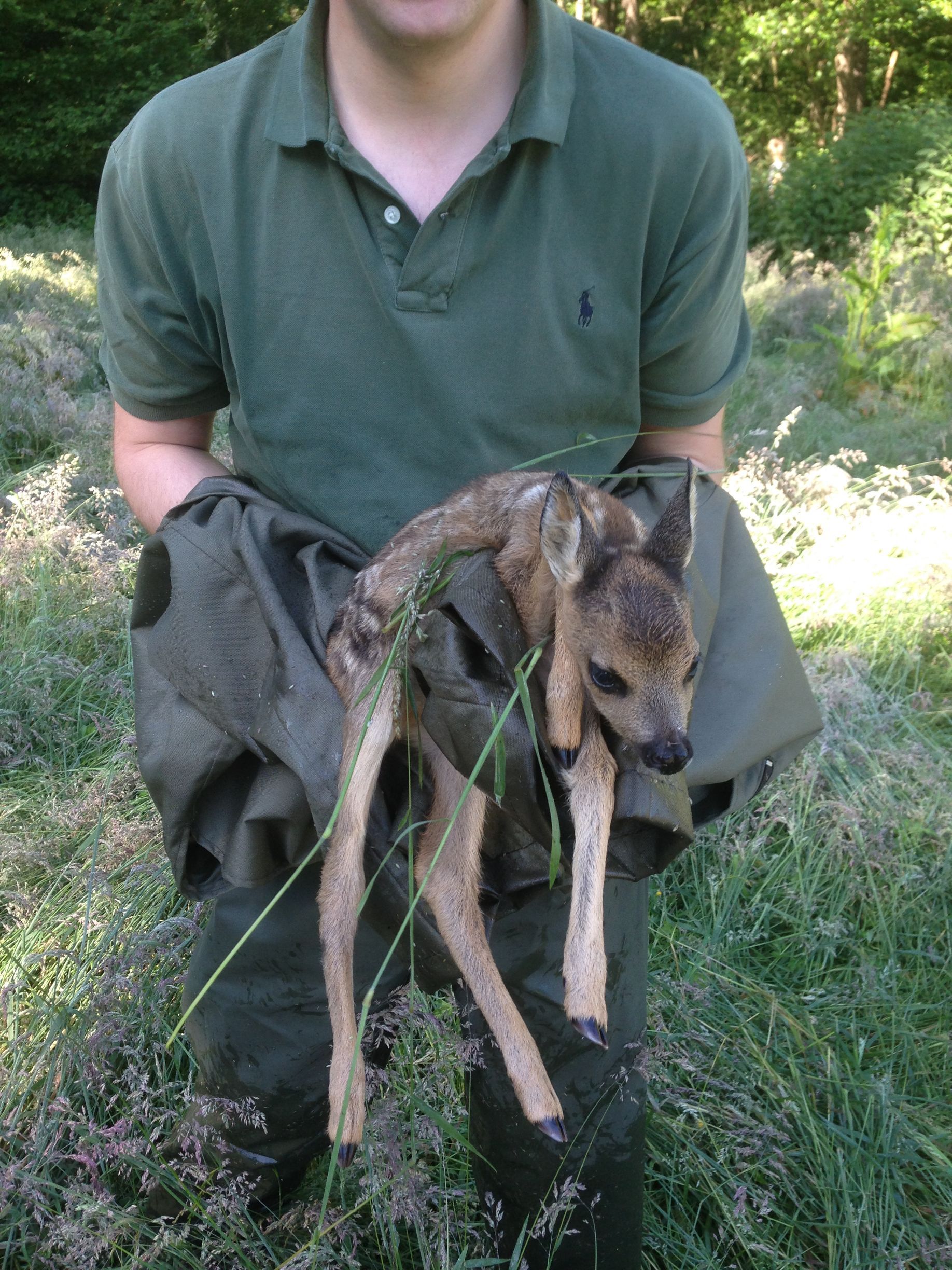 Pflege des Wildbestandes auf Haus Neersdonk