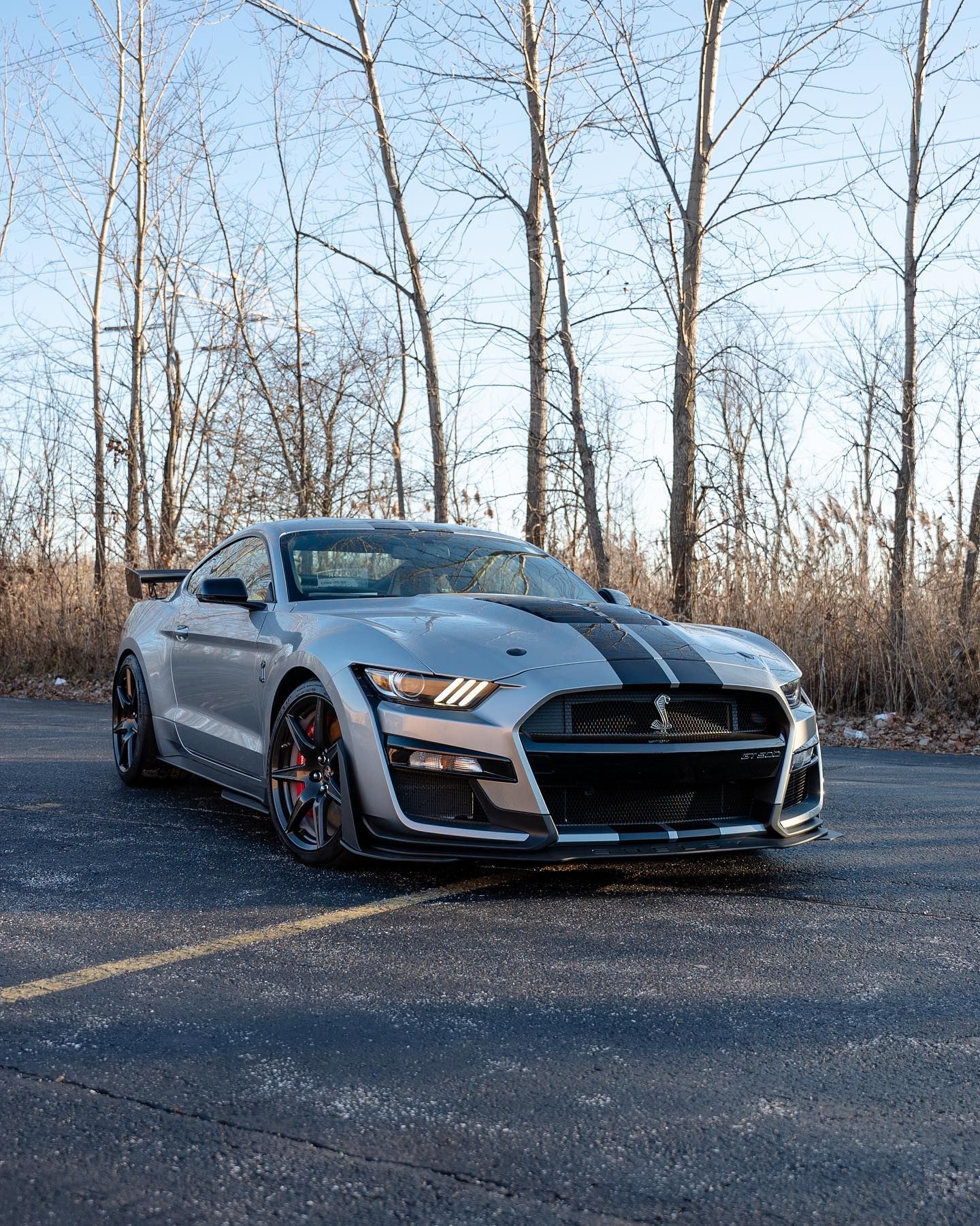 2020 Ford Shelby GT500