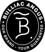 bulliac logo