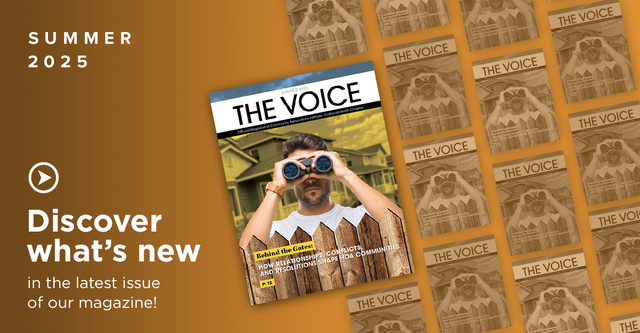 The Voice Magazine