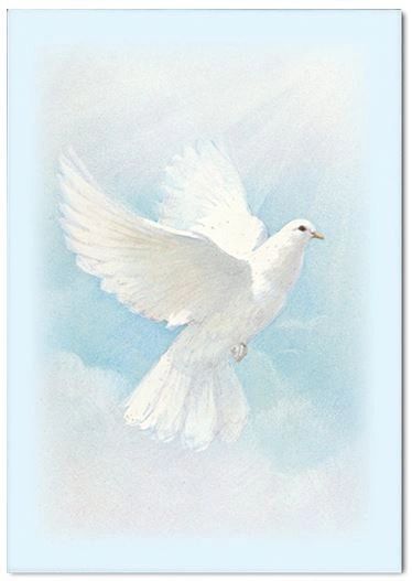 White dove sign-in book