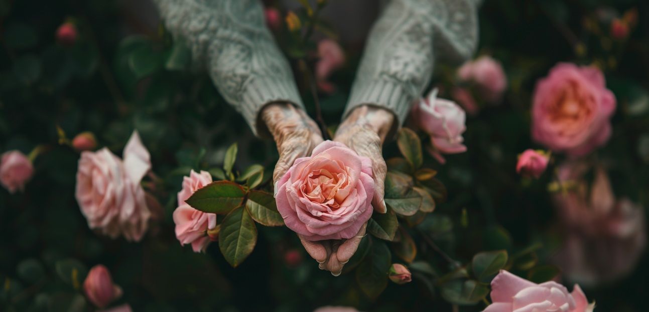 funeral homes in Orange, CA