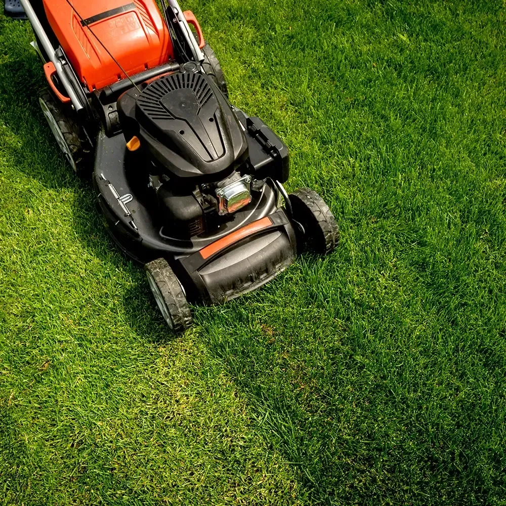 landscaping cape girardeau mo