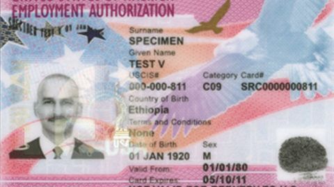 When Do I Receive The Employment Authorization Card through the Pending ...