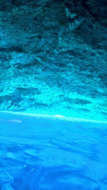 Blauwe Kamer Curacao Boottrip