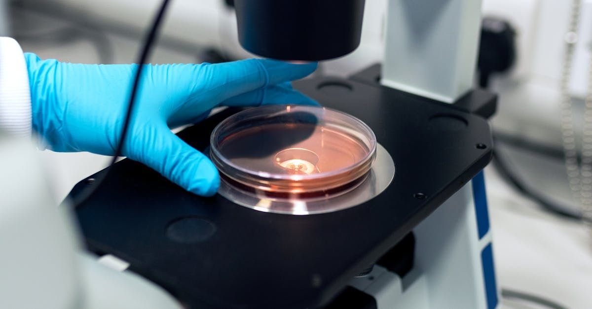 A person is using a microscope to look at a petri dish.