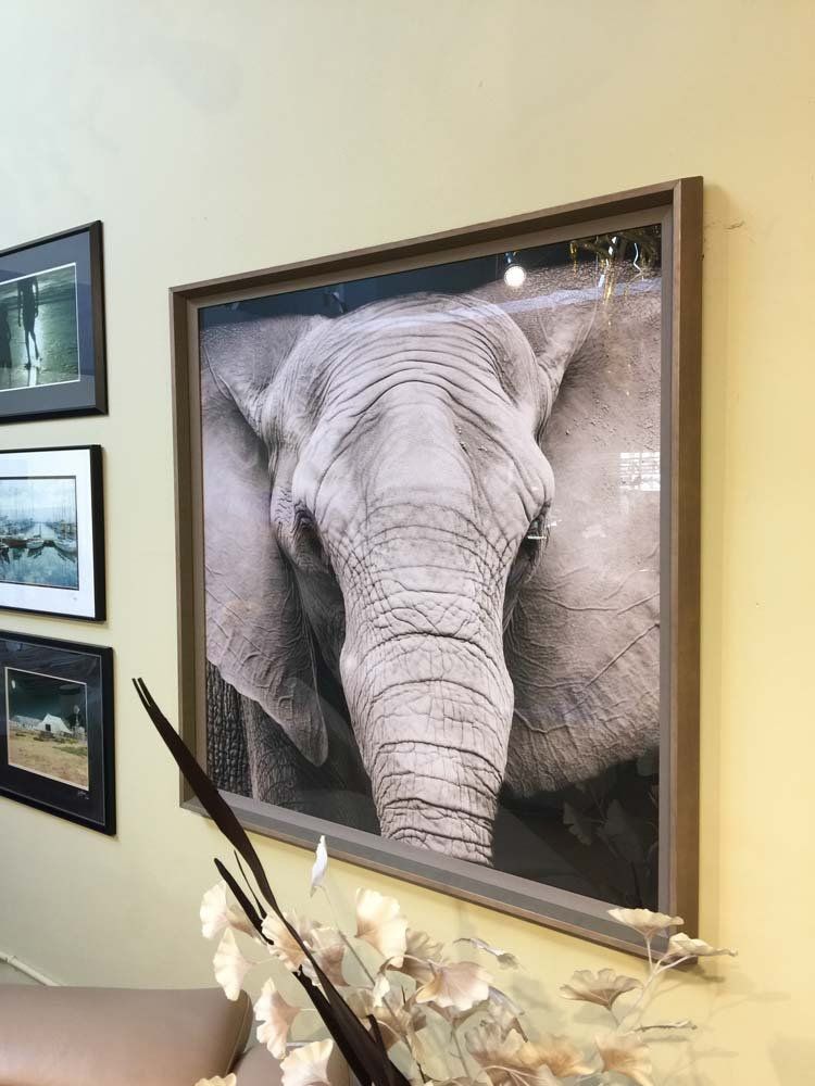 Furniture Store Showroom San Francisco, CA Wholesale Furniture Store