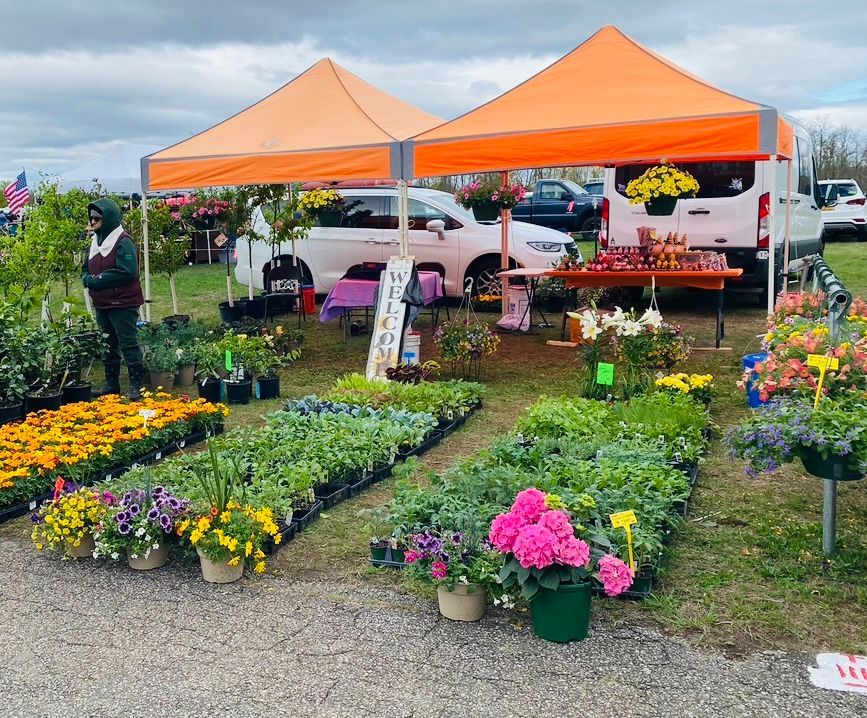 A display of potted plants and flowers under tents in a parking lot.