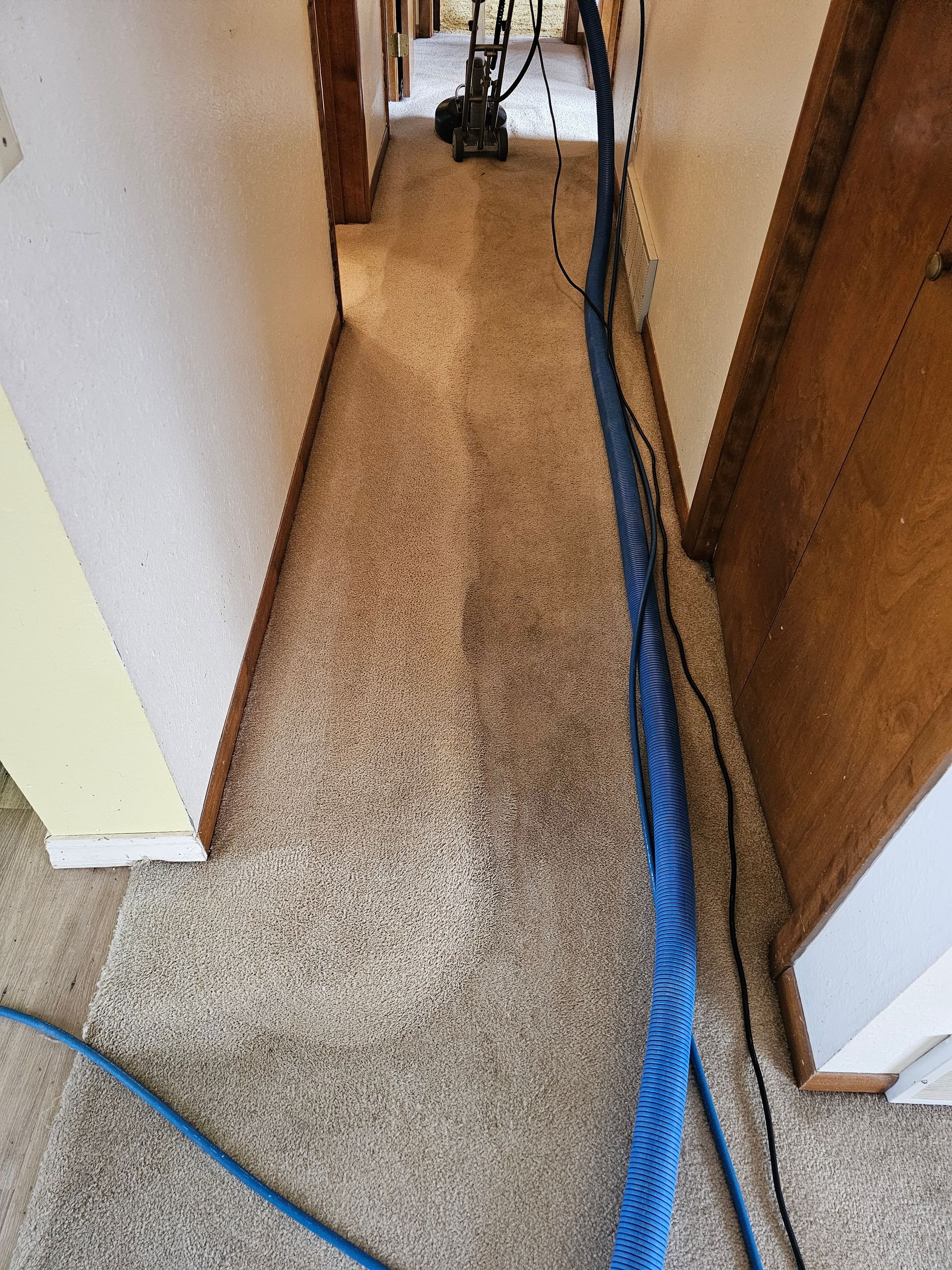 A vacuum cleaner is being used to clean a carpet in a hallway.