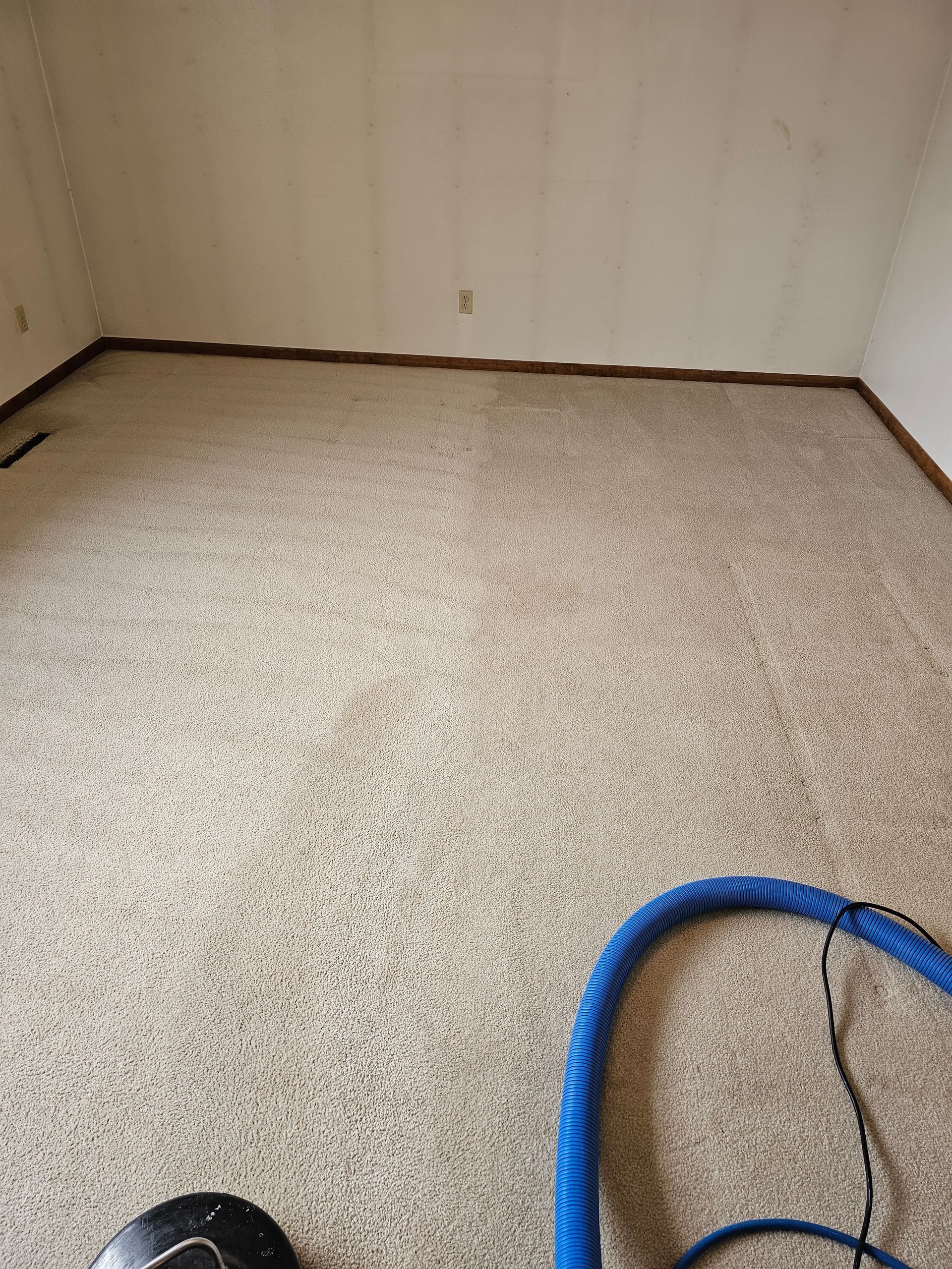 A vacuum cleaner is sitting on a carpeted floor in a room.