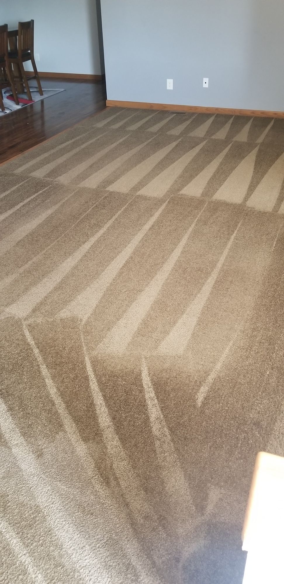 A living room with a brown rug on the floor.