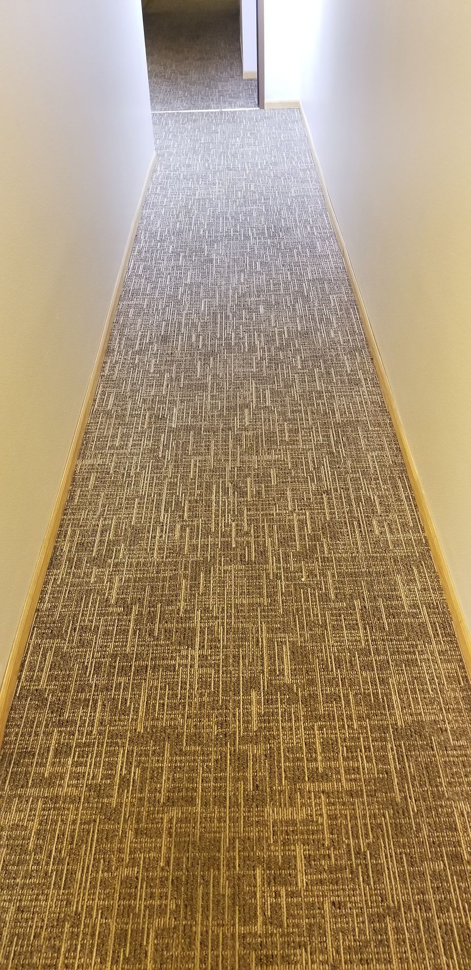 A long hallway with a carpeted floor and a white wall.