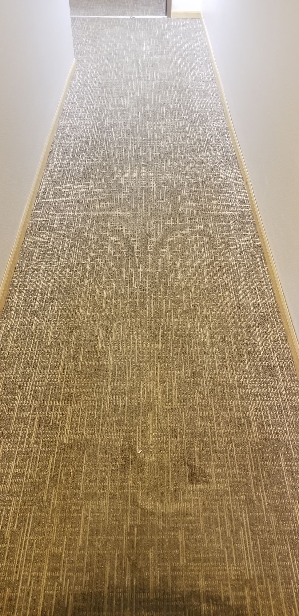 A long hallway with a carpeted floor and a white wall.