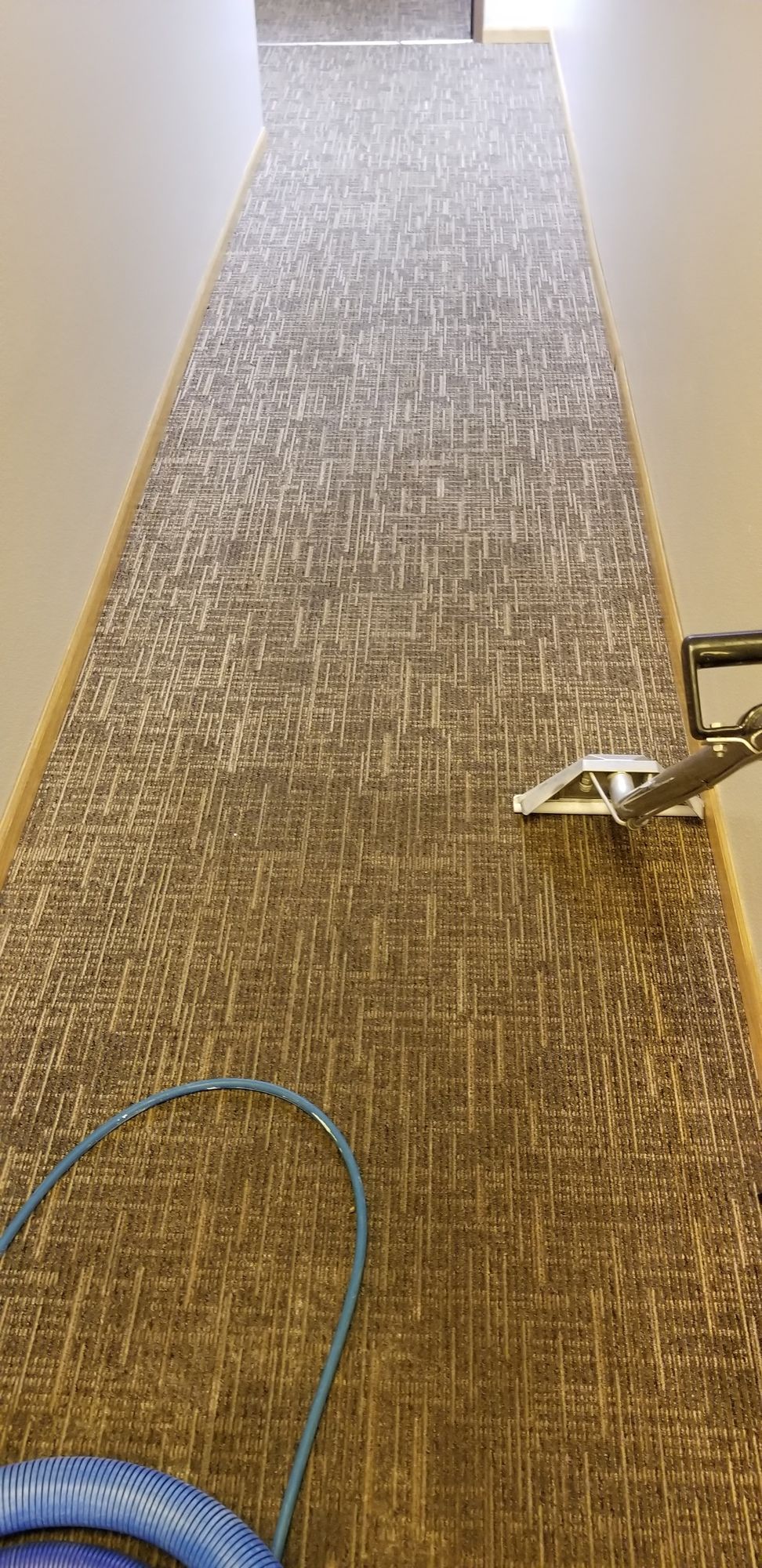 A vacuum cleaner is cleaning a long hallway carpet.