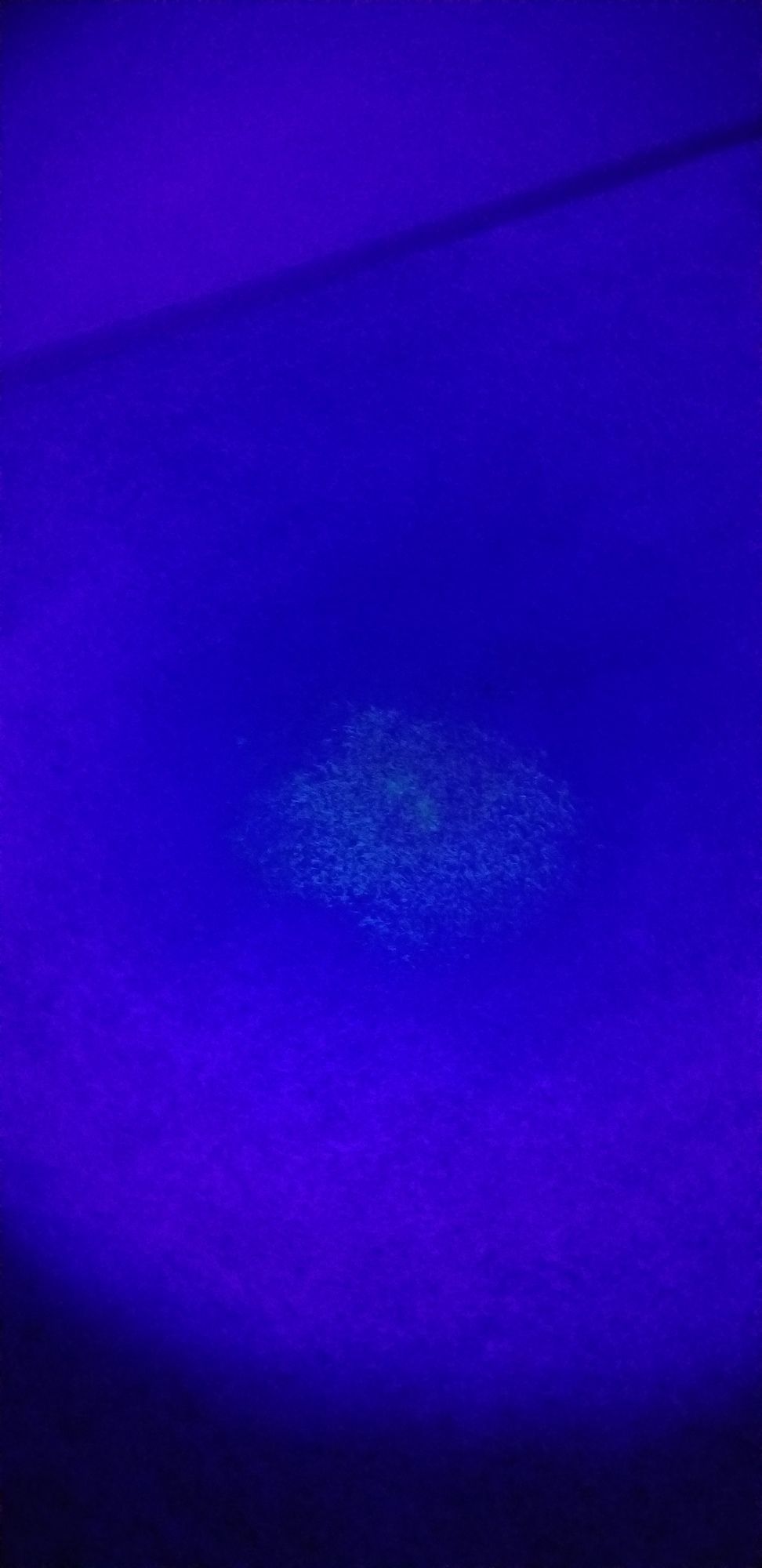 A purple light is shining on a blue surface.