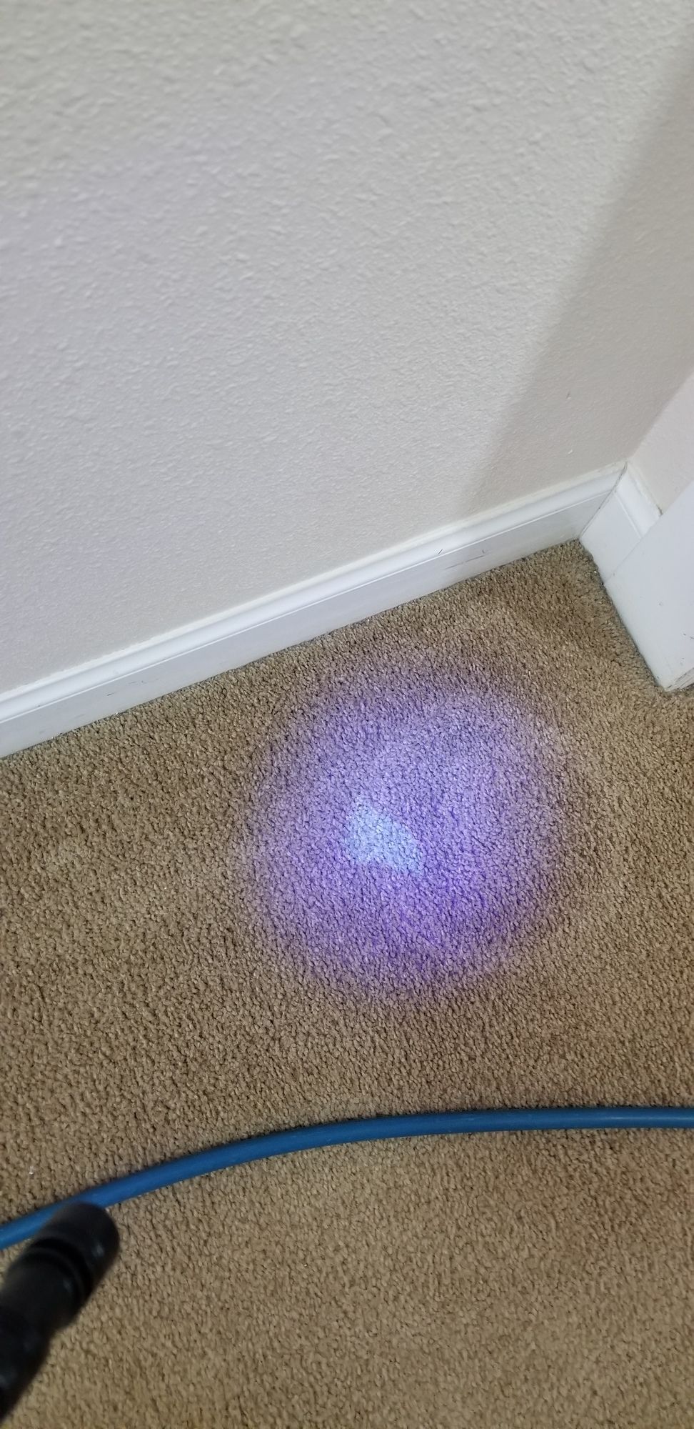 A purple light is shining on a carpet next to a wall.