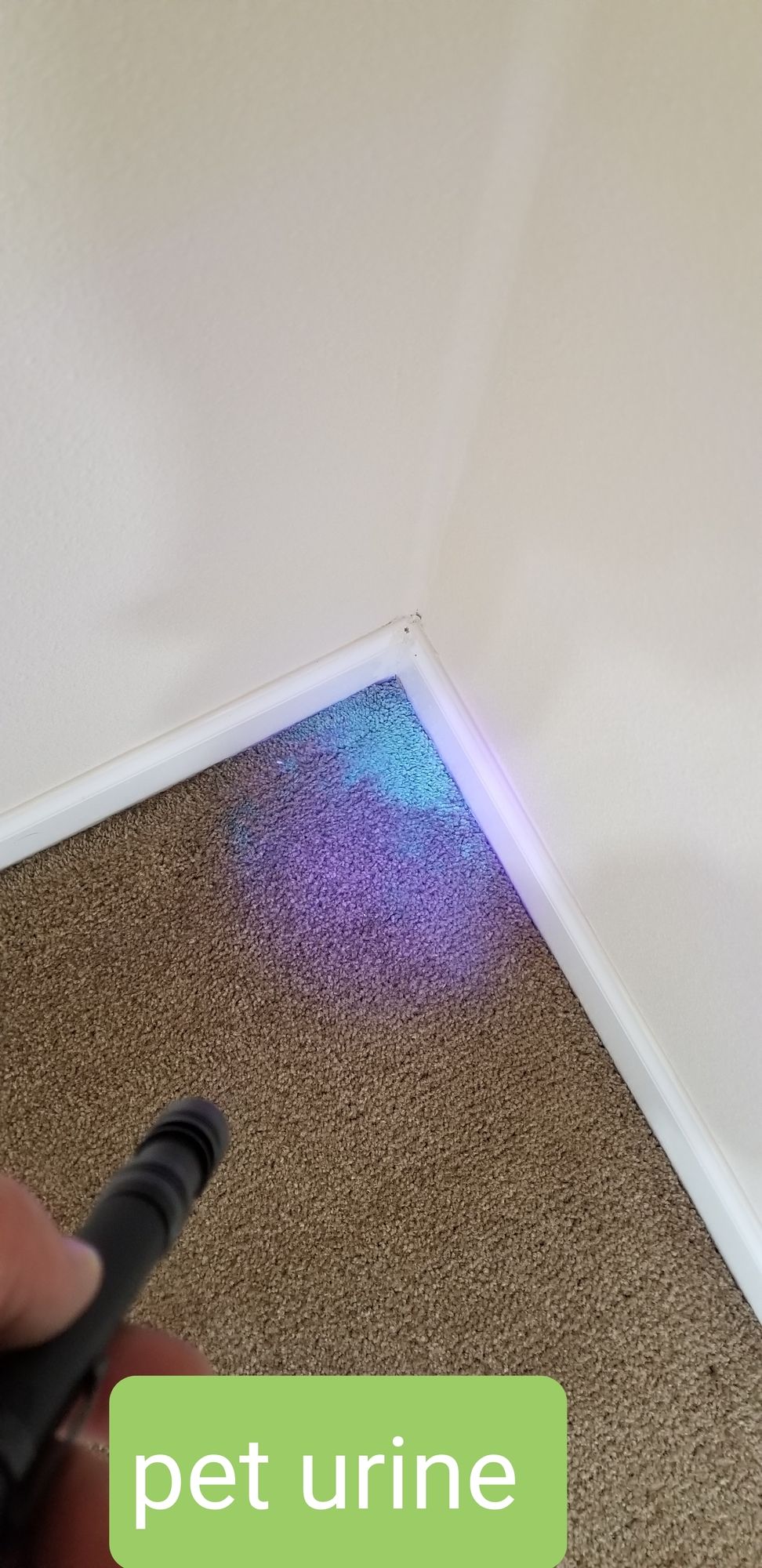 A person is holding a flashlight next to a corner of a room.