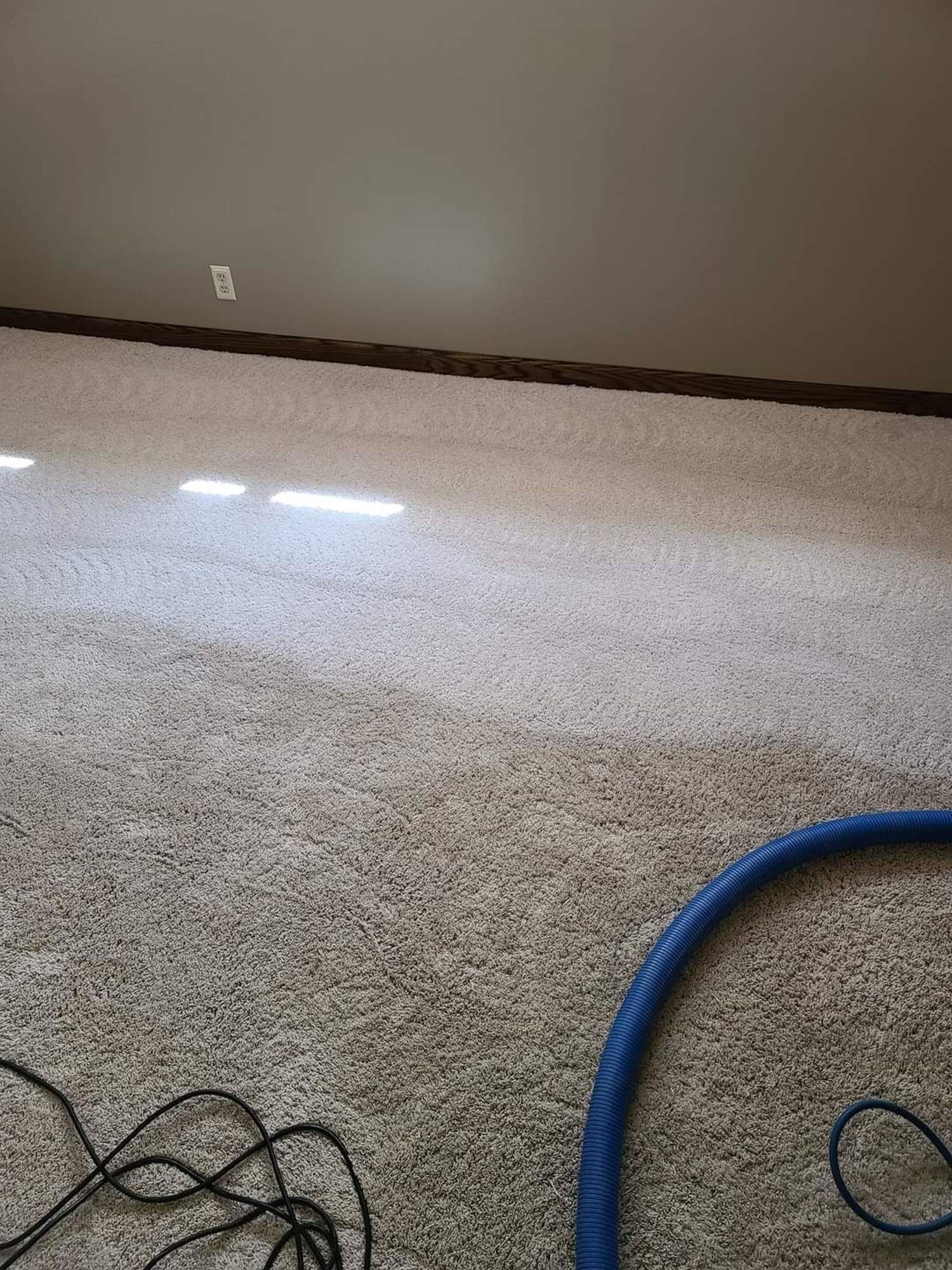 A room with a carpet and a vacuum cleaner on the floor.