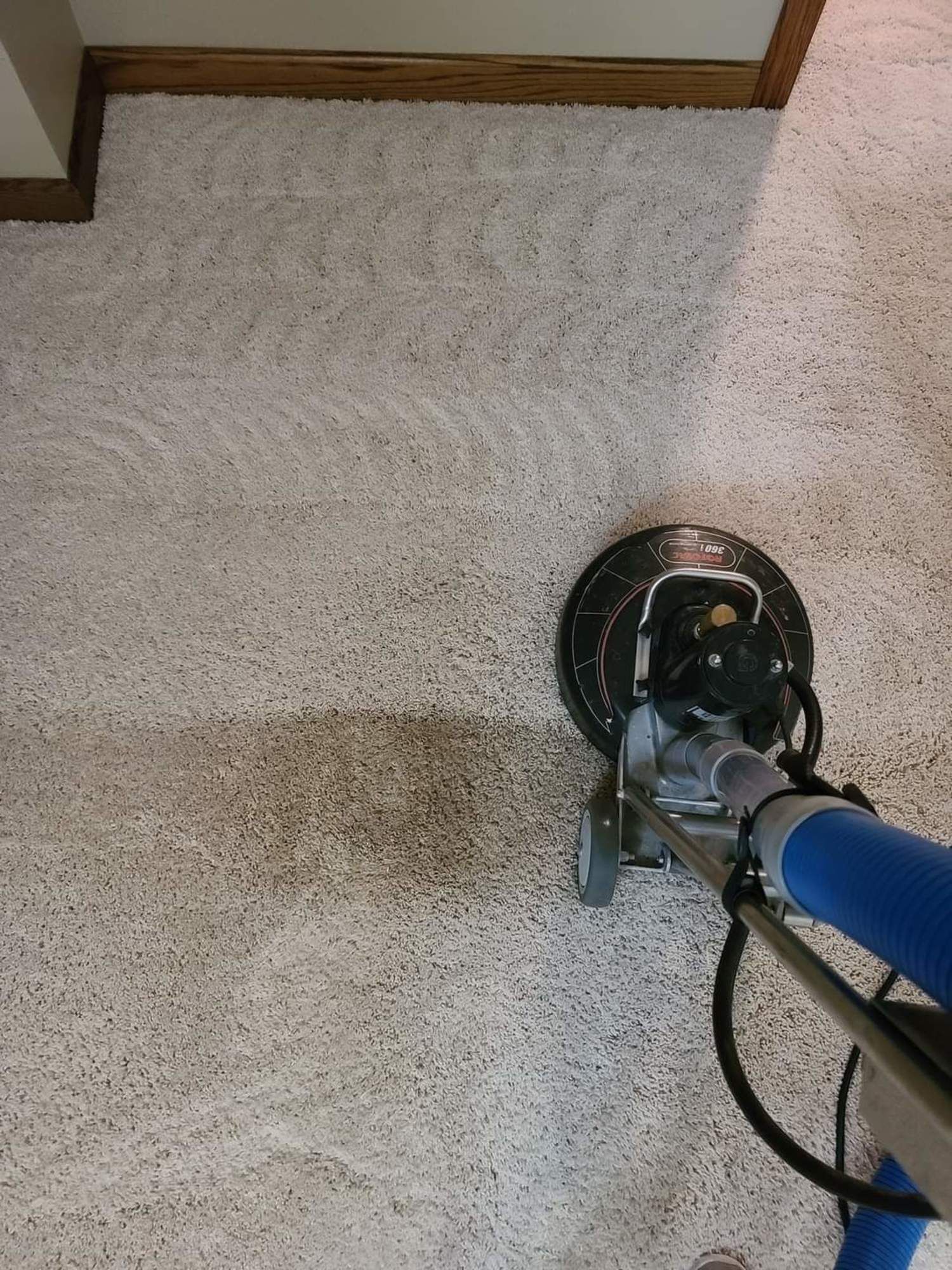 A vacuum cleaner is cleaning a carpet in a room.