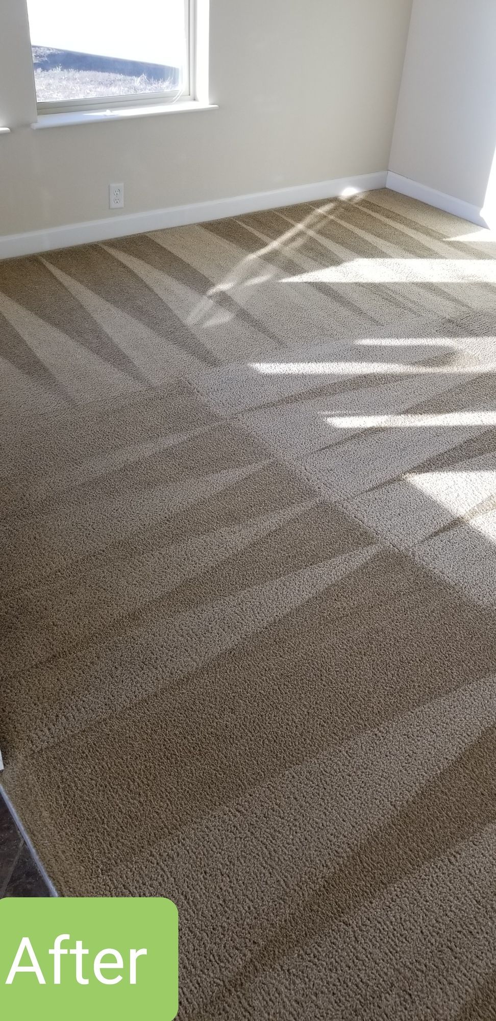 A room with a carpeted floor and a window.